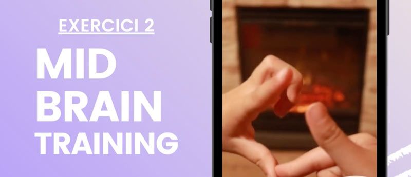 Mid Brain Training Exercises