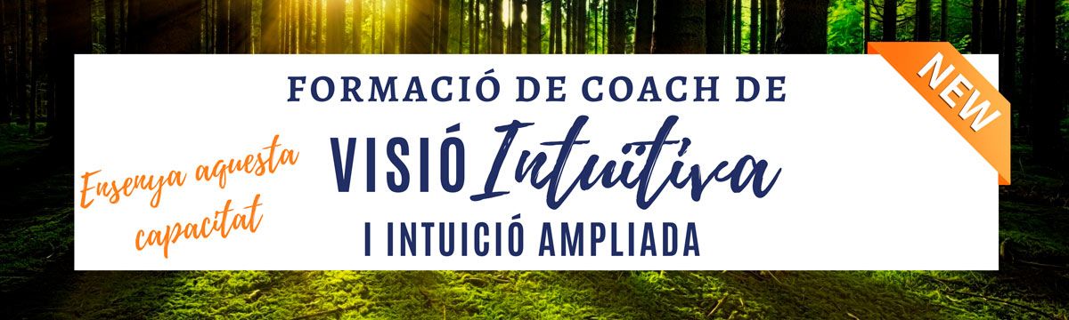 formació d'instructors de visió extraocular